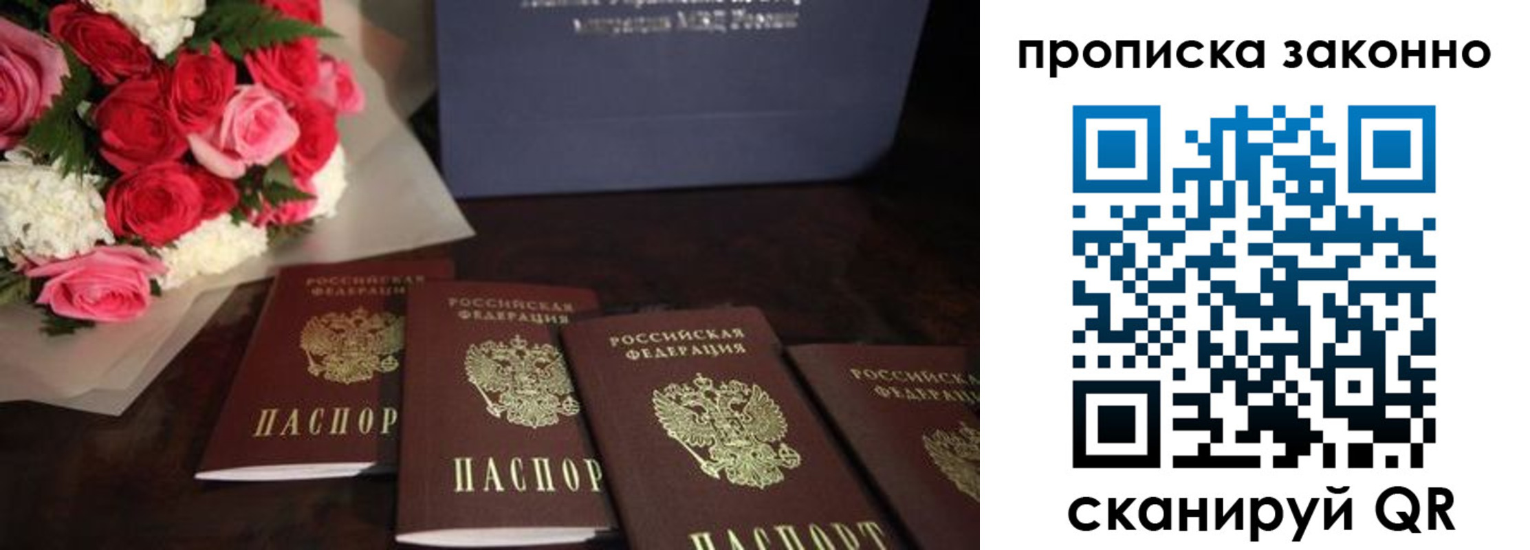 купить прописку в Бабаево